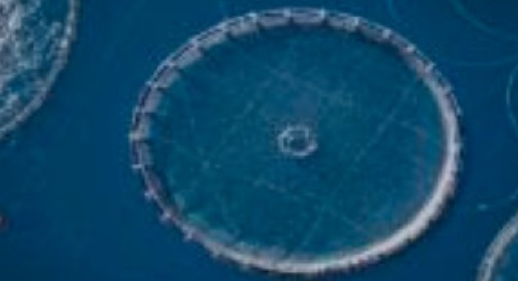 Θαλάσσια υδατοκαλλιέργεια και κλιματική αλλαγή: Τι σημαίνει για τους καταναλωτές