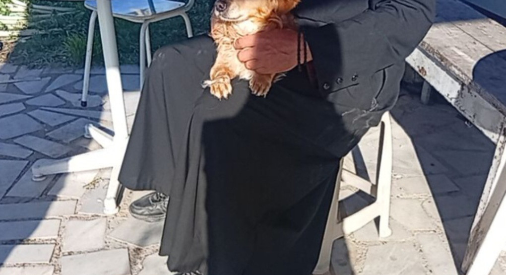 Ένα περιστατικό με προεκτάσεις: Σκυλάκι από την Έδεσσα, υιοθεσία και ένα ηθικό δίλημμα