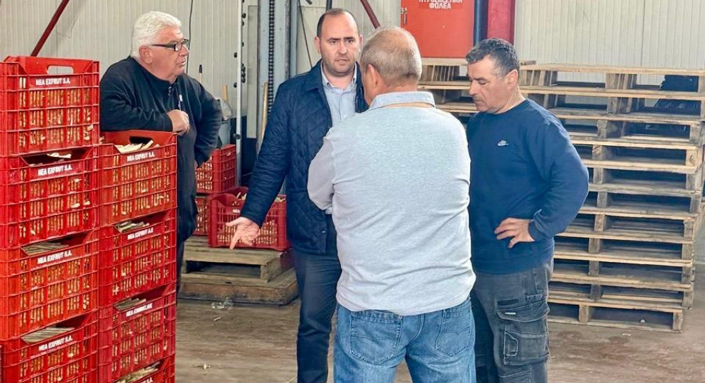 Επίσκεψη Λάκη Βασιλειάδη σε αγροτικούς συνεταιρισμούς και ομάδες παραγωγών της Αλμωπίας για το σπαράγγι: «Μια δυναμική καλλιέργεια για την περιοχή μας που οφείλουμε να στηρίζουμε»