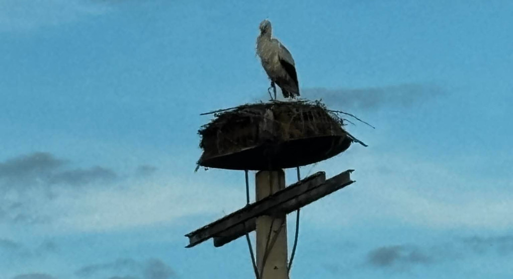 Καλώς τον και ας άργησε – Ζωντανεύει ξανά το παλιό κοινοτικό κατάστημα στο Μαυροβούνι