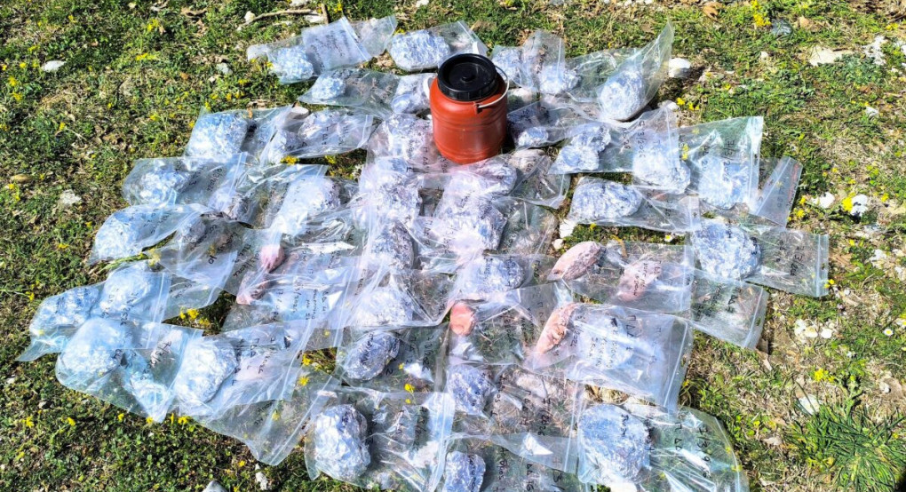 Σε έξαρση το φαινόμενο των δηλητηριασμένων δολωμάτων στη Βόρεια Πίνδο