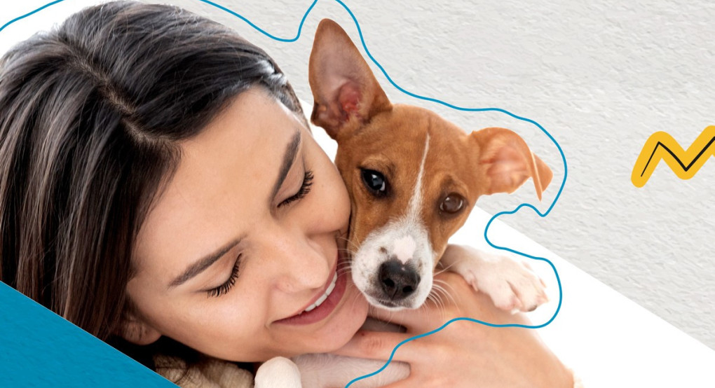 Νάουσα: Δράση ενημέρωσης για τα αδέσποτα