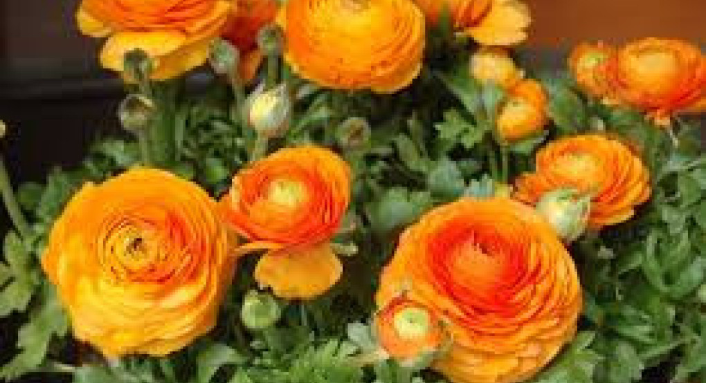 Ποιοι γιορτάζουν σήμερα