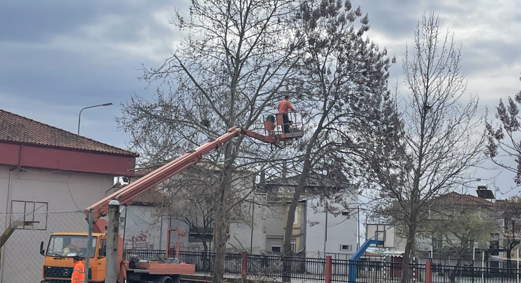 1ο Γυμνάσιο Γιαννιτσών- Ευχαριστήριο προς το Δήμο Πέλλας