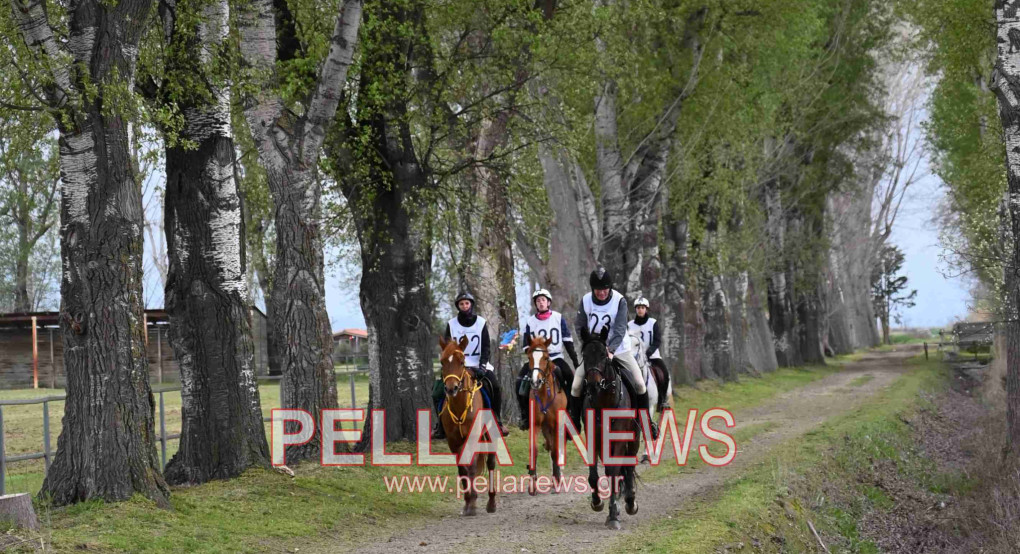 Ιππική αντοχή στις εγκαταστάσεις του ELIA STUD FARM στον Ορχομενό