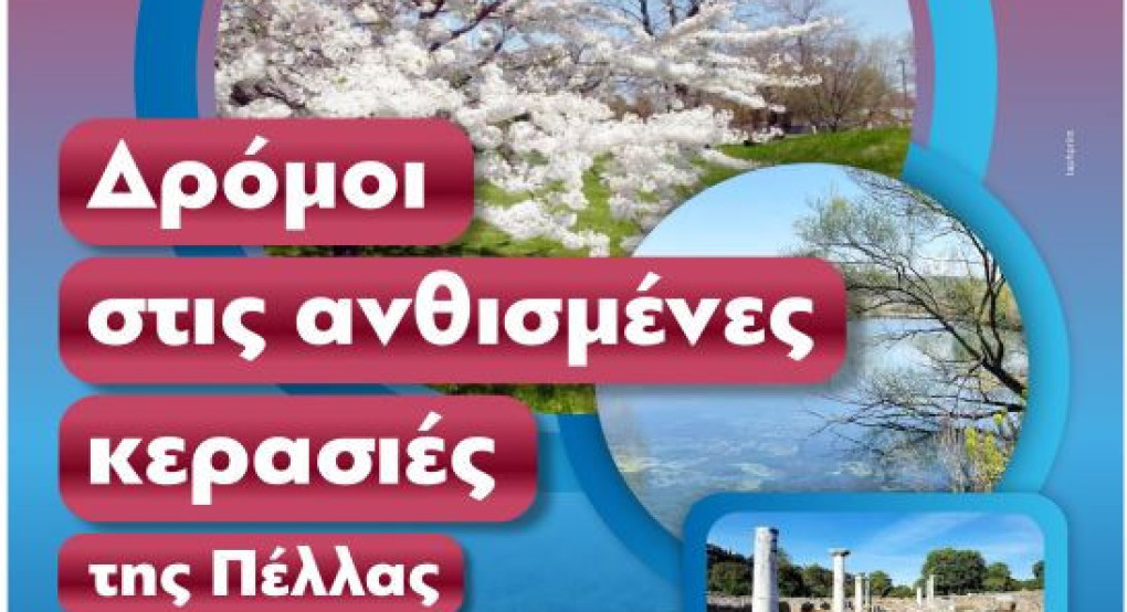 «Όταν ανθίζουν οι κερασιές της Πέλλας 2026»