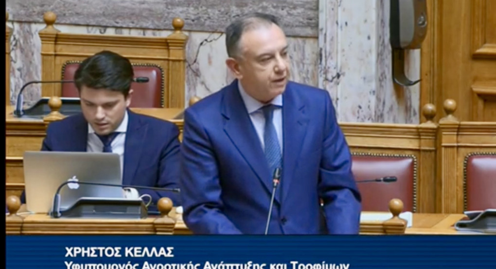 ΥφΑΑΤ, Χρ. Κέλλας στη Βουλή: Στήριξη των αγροτών με επιδότηση λιπασμάτων και δέσμη μέτρων απέναντι στην ενεργειακή κρίση