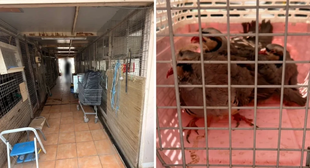 Στην πολυκατοικία που στεγάζεται ο ΕΦΕΤ στους Αμπελόκηπους είχε στήσει μια ολόκληρη φάρμα Αρχιτέκτονας