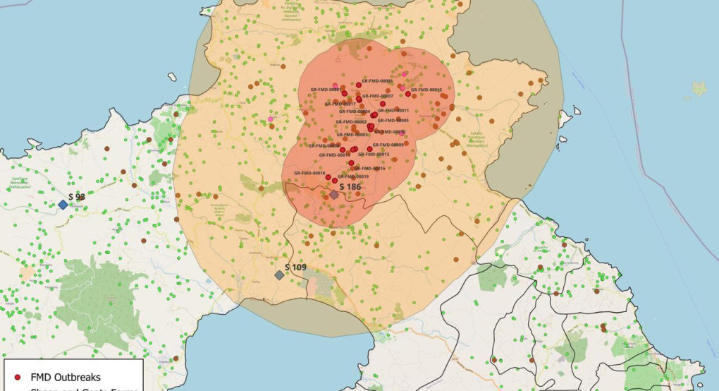 ΥΠΑΑΤ: Στα 20 τα επιβεβαιωμένα κρούσματα αφθώδους πυρετού στη Λέσβο – Δύο νέα κρούσματα σε τέσσερις εκτροφές