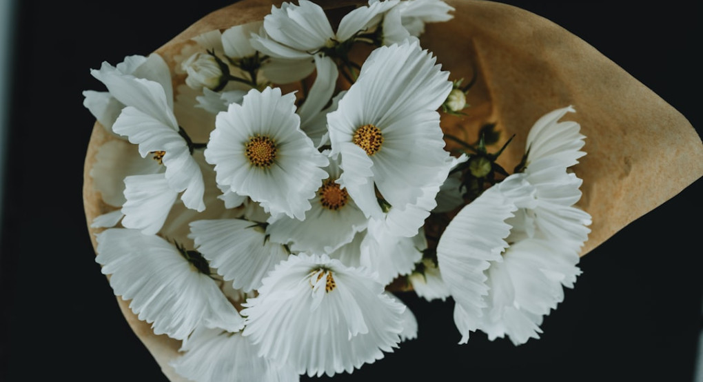 Γυμνάσιο Σκύδρας : Μήνυμα συμπαράστασης στη συνάδελφό μας κα Ειρήνη Χαΐνογλου για την απώλεια του αγαπημένου της πατέρα