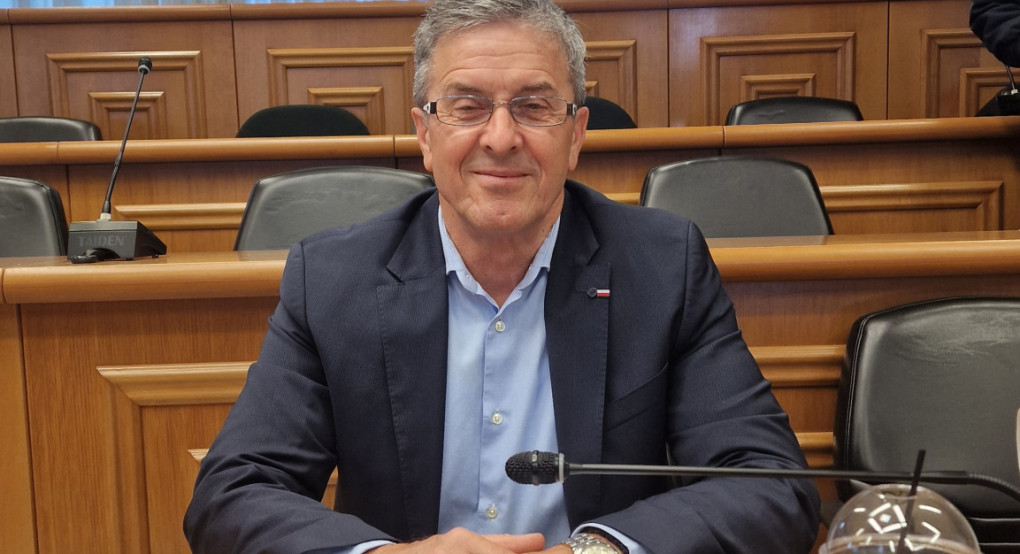 Δημήτρης Μπίνος: Η ιστορία του Μακεδονικού Αγώνα στην Αλμωπία