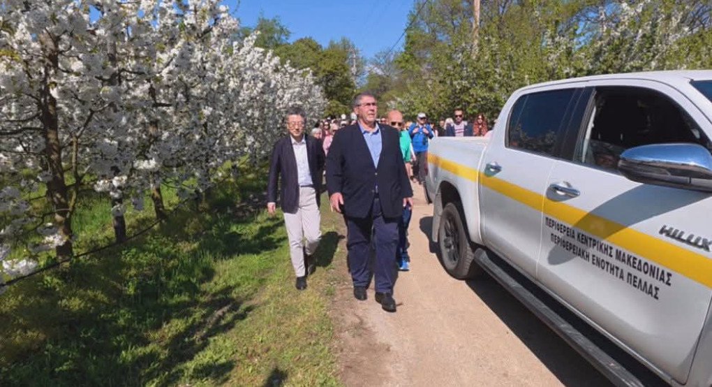 Ανθισμένες κερασιές: Η Πέλλα γιορτάζει την άνοιξη και αναδεικνύει την τοπική παραγωγή