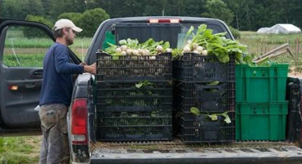Οδηγίες σχετικά με αγρότες και υπαίθριους πωλητές αγροτικών προϊόντων για το ψηφιακό δελτίο αποστολής