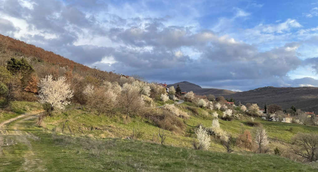«Να μην ξεχνάμε την καταγωγή μας»: Το μήνυμα του Δημήτρη Γιάννου για τη δύναμη του χωριού