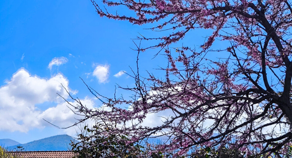 Καιρός: Ανοιξιάτικη ζέστη το πρωί και καταιγίδες το απόγευμα