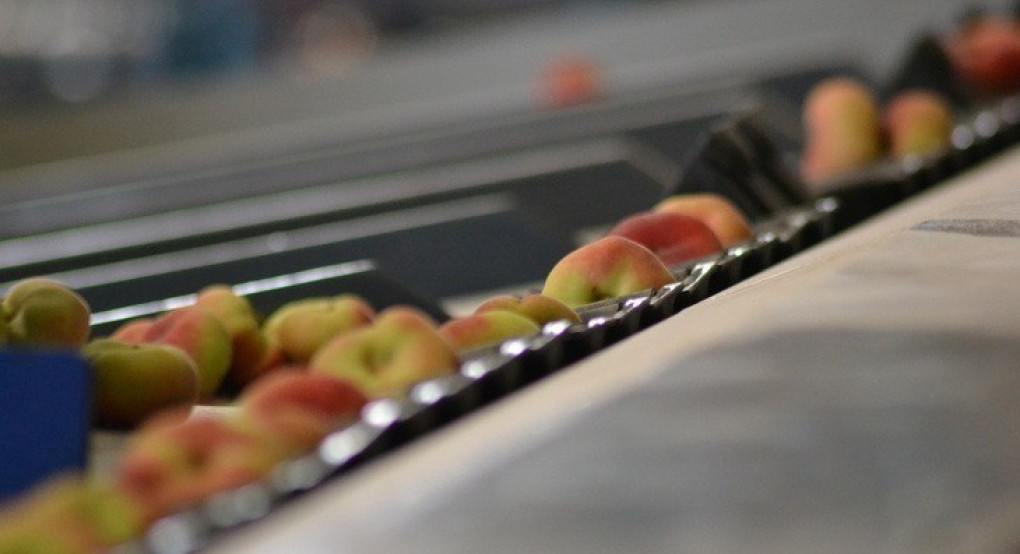 Η εταιρεία Medifresh A.E. αναζητά προσωπικό για την παραγωγή