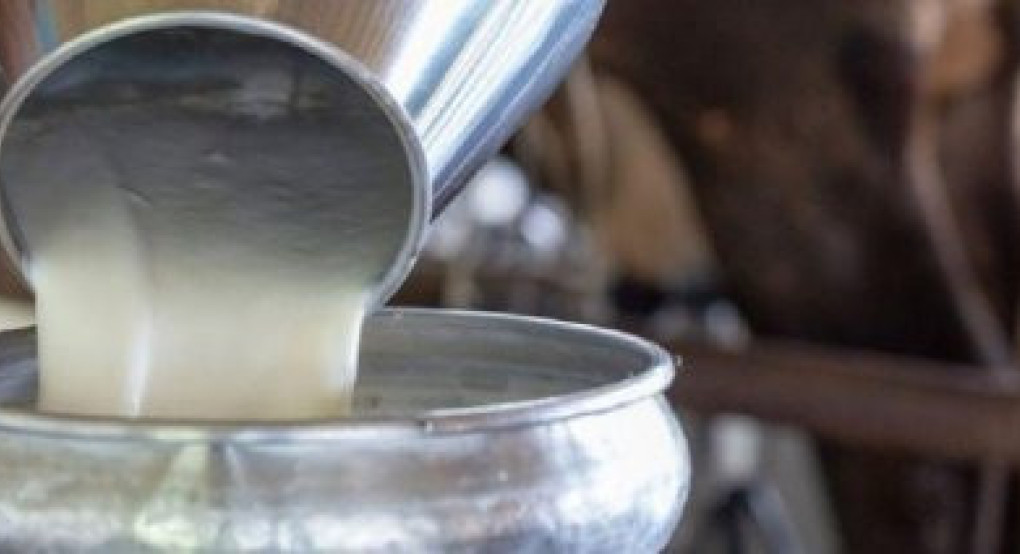 Στα 8 εκατομμύρια ευρώ οι ενισχύσεις de minimis για τα τυροκομεία της Λέσβου λόγω του αφθώδους πυρετού