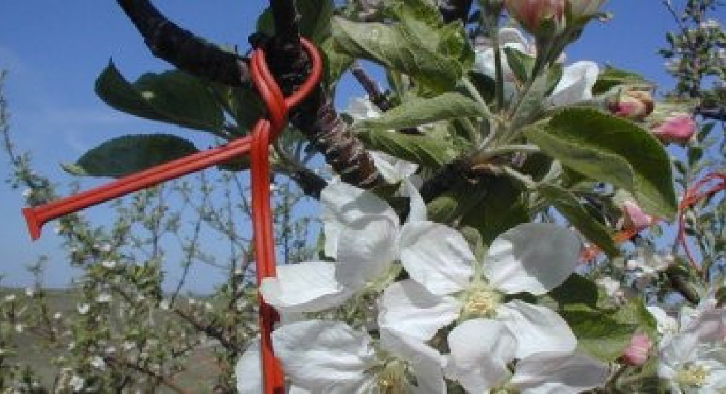 Από 1ης Ιουλίου τροποποιήσεις ή μεταβιβάσεις για φέτος στα πλαίσια της πρόσκλησης για το Κομφούζιο