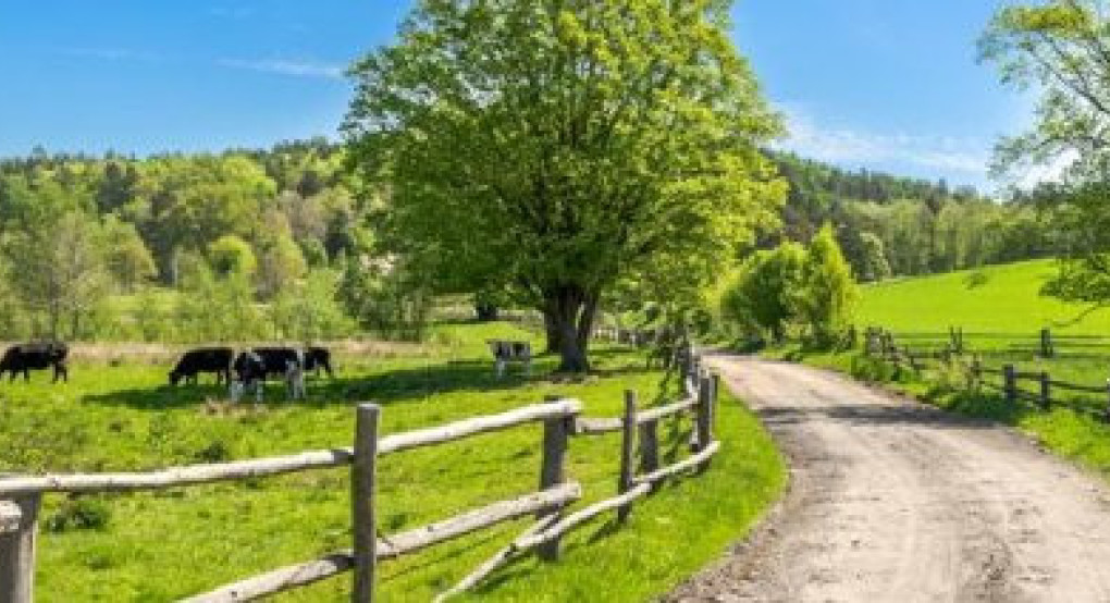 Ξεκινά η διαβούλευση για την νέα Κοινή Αγροτική Πολιτική από το 2028 έως το 2034 σε εθνικό επίπεδο