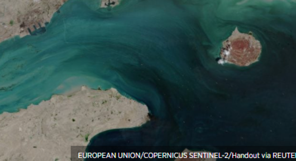 Γερμανία: Ναυτιλιακός κολοσσός χαιρετίζει τα «καλά νέα» για τα Στενά του Ορμούζ