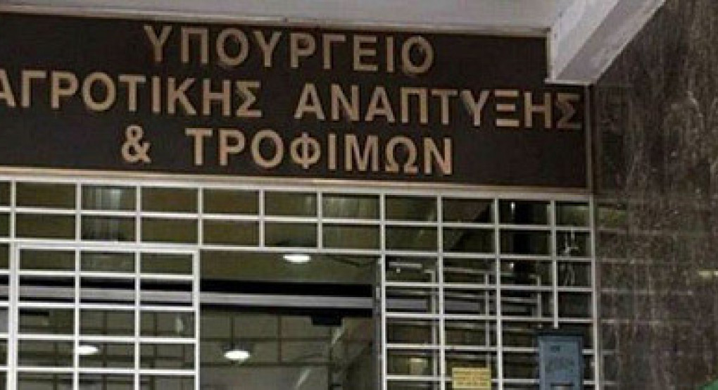 Εναρκτήρια Συνάντηση για τη διαβούλευση της νέας ΚΑΠ 2028-2034στο πλαίσιο του Σχεδίου«Εθνικής και Περιφερειακής Εταιρικής Σχέσης (ΕΠΕΣ)»