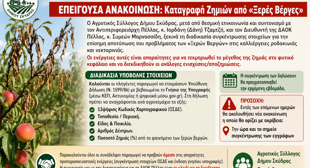 Συναγερμός στη Σκύδρα: Επείγουσα καταγραφή ζημιών από «Ξερές Βέργες» σε ροδάκινα και νεκταρίνια