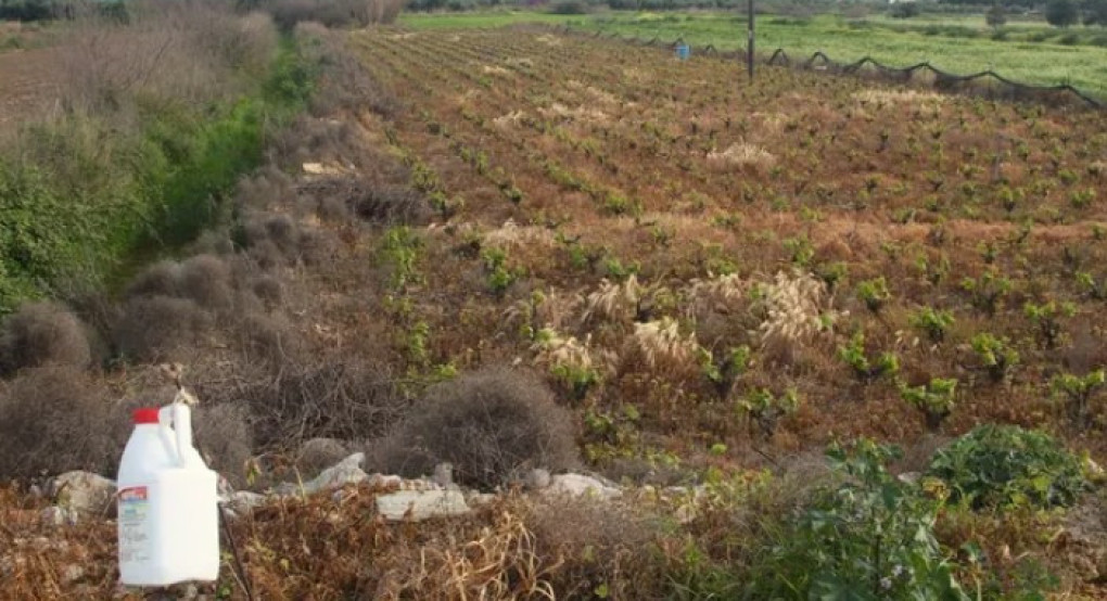 Δηλητηριάζοντας την άνοιξη και τους εαυτούς μας: Η αόρατη απειλή των επικίνδυνων φυτοφαρμάκων