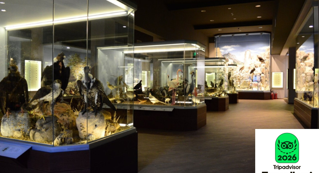 Διεθνής Αναγνώριση για το Μουσείο Φυσικής Ιστορίας Μετεώρων και Μουσείο Μανιταριών 5ο στην Ευρώπη