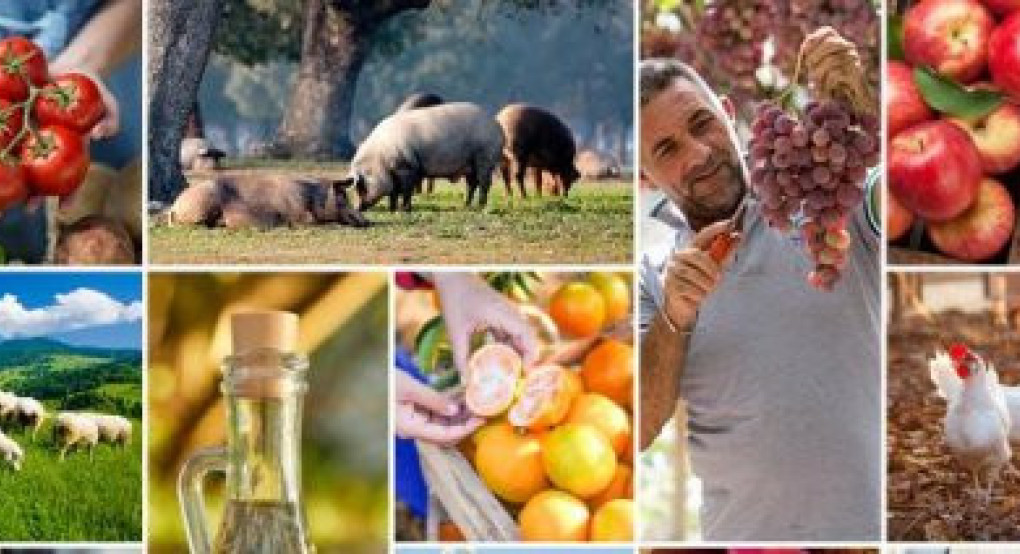 Κοινοτική στήριξη για την αγροτική ανάπτυξη στο 80% ζητούν οι Περιφερειακές Αρχές της Ε.Ε.