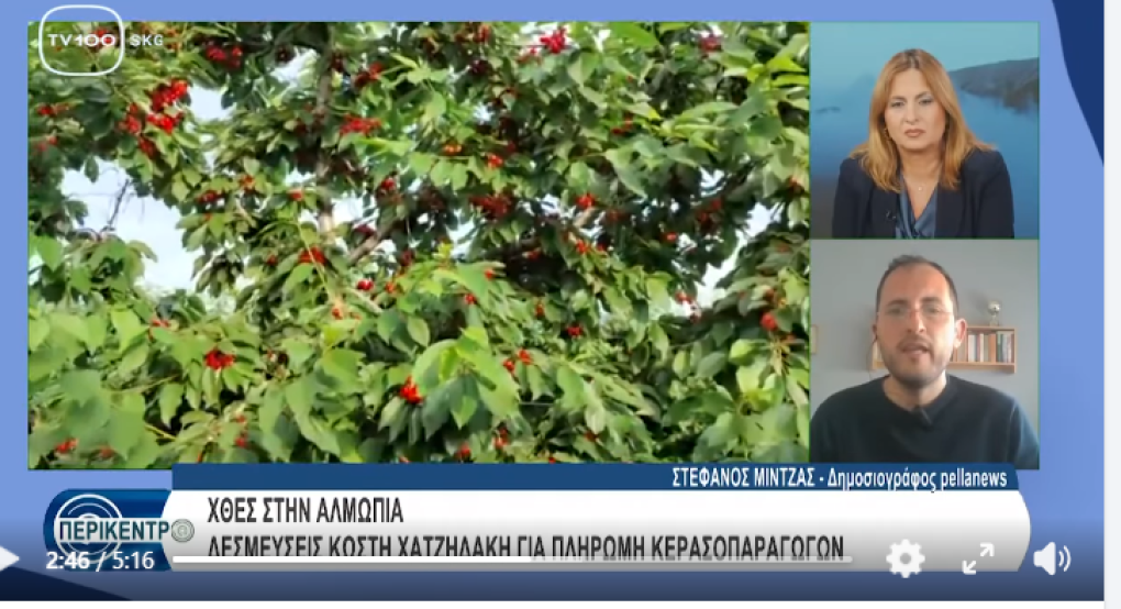 Στέφανος Μίντζας στο TV100: Ουσιαστική στήριξη των κερασοπαραγωγών και της Αλμωπίας