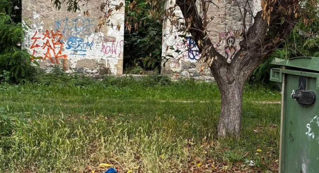 Μαρία Παπαδοπούλου: Οι δημότες δεν πείθονται πλέον με αναρτήσεις επικοινωνίας για “δρόμους εκτός αρμοδιότητας” και φωτογραφίες καθαρισμών,