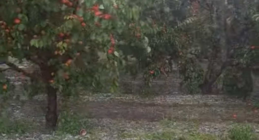 Σφοδρή χαλαζόπτωση έπληξε την Ανατολική Αλμωπία