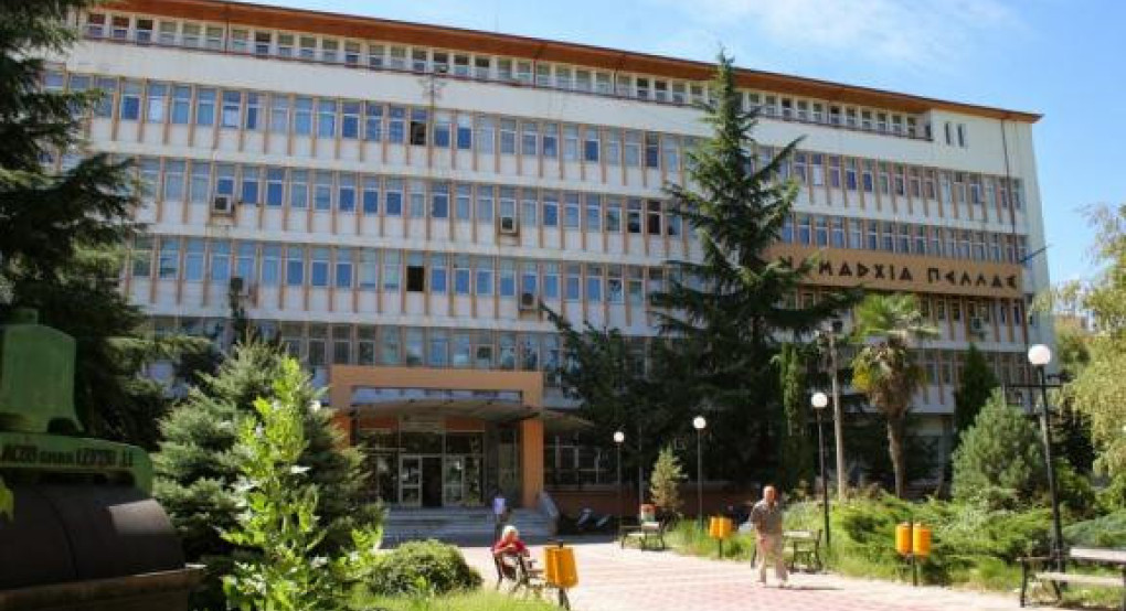 Διεύθυνση Δημόσιας Υγείας και Κοινωνικής Μέριμνας της Π.Ε. Πέλλας -Eκπαιδευτικό σεμινάριο για τα Πολιτιστικά Σωματεία
