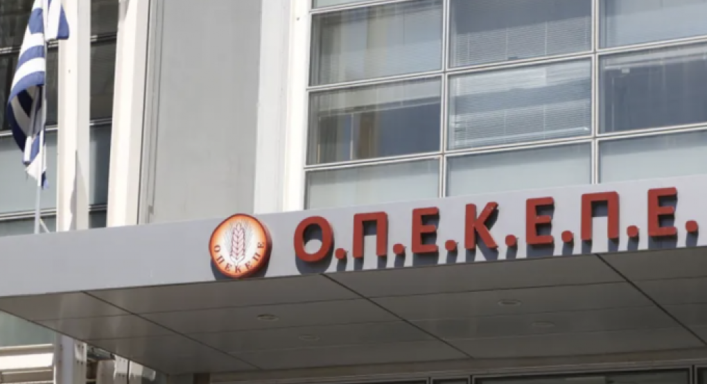 ΟΠΕΚΕΠΕ: Απολογούνται οι 17 συλληφθέντες από τη Βόρεια Ελλάδα – Βαρύ το κατηγορητήριο