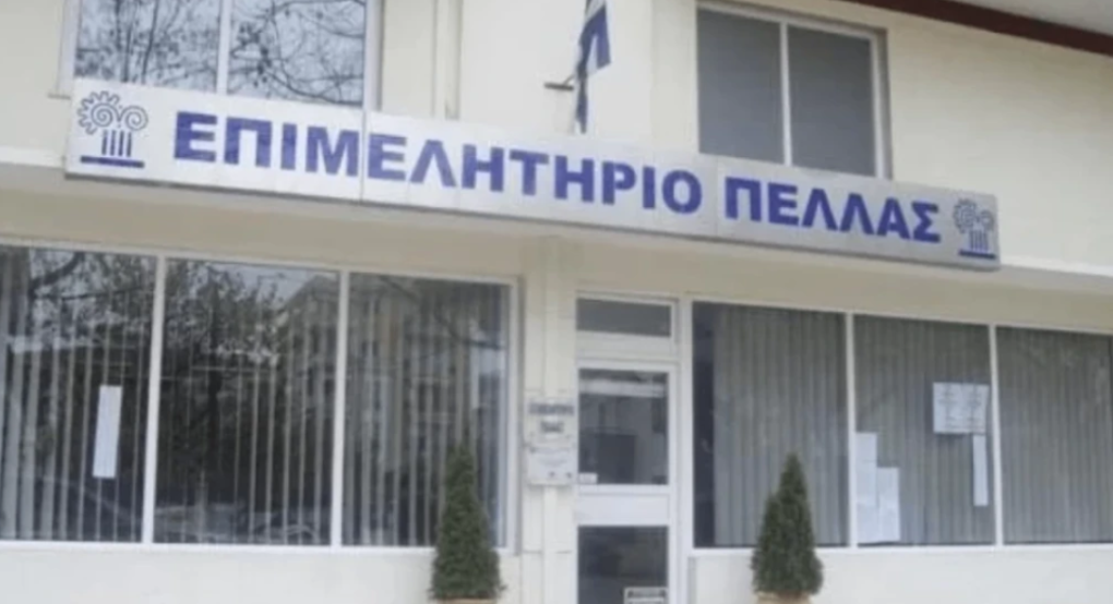 Επιμελητήριο Πέλλας: "Επιχειρηματικότητα και τεχνολογία στην πράξη-Απλές εφαρμογές που αλλάζουν το μέλλον των επιχειρήσεων"