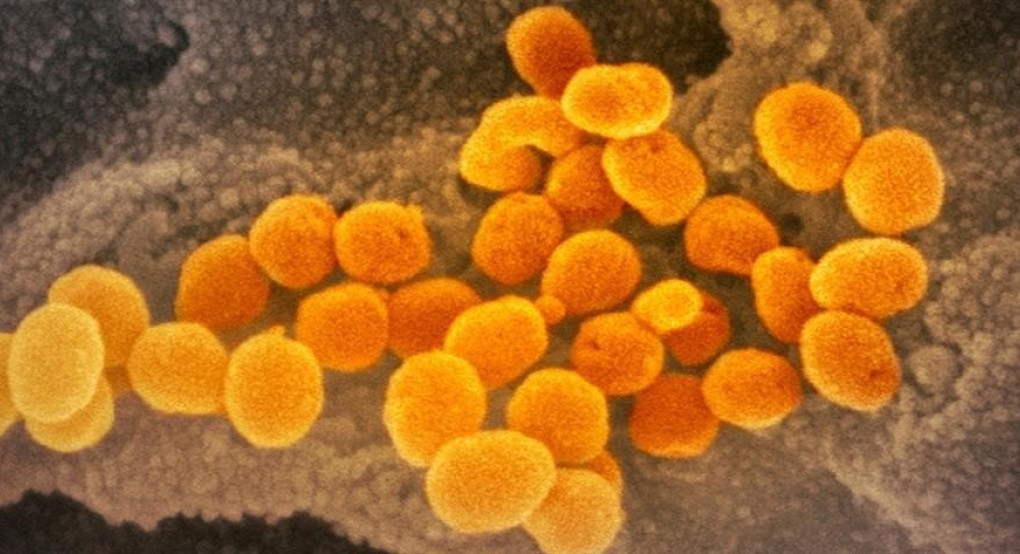 Γερμανία: Σημαντική ανακάλυψη στη μάχη κατά του κορωνοϊού