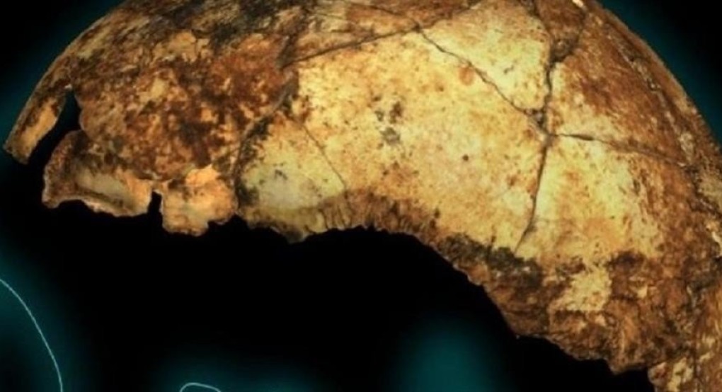 Βρέθηκε το αρχαιότερο στον κόσμο κρανίο Homo erectus
