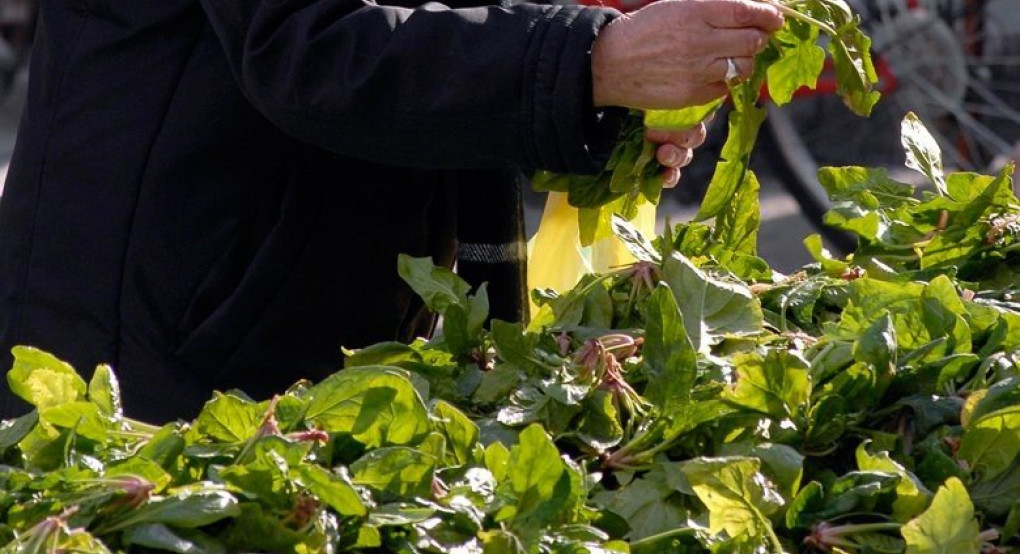 Έτσι θα λειτουργούν πλέον οι λαϊκές αγορές λόγω κοροναϊού