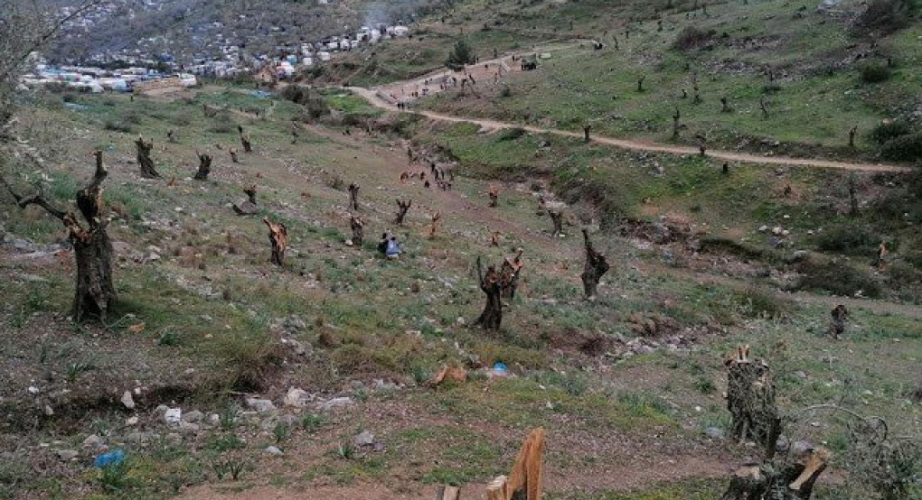 Καταστρέφοντας τις ρίζες μας....(λεηλασία της Μόρια από τους λαθρομετανάστες)