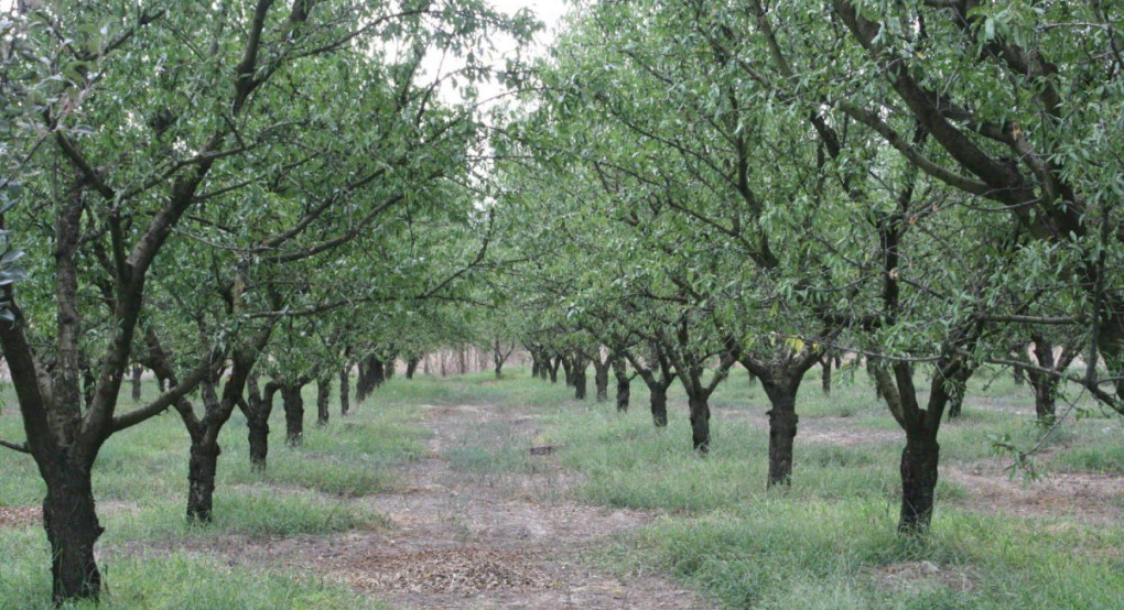 ΣΕΑΣ Ν.ΠΕΛΛΑΣ: Προβληματισμοί και λήψη μέτρων προστασίας