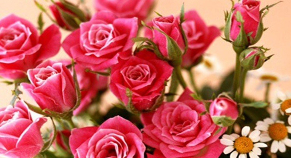 Ποιος γιορτάζει σήμερα...