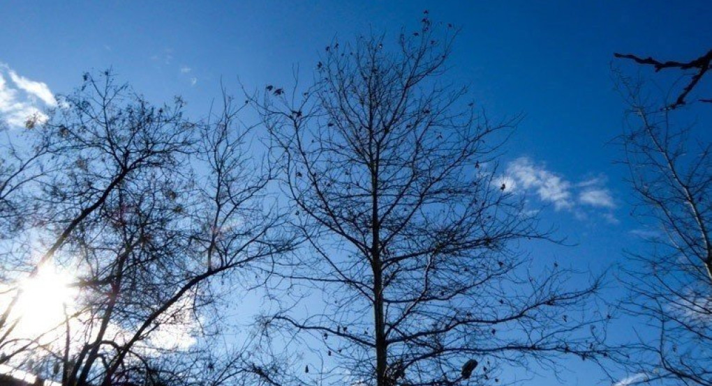 Ο καιρός σήμερα