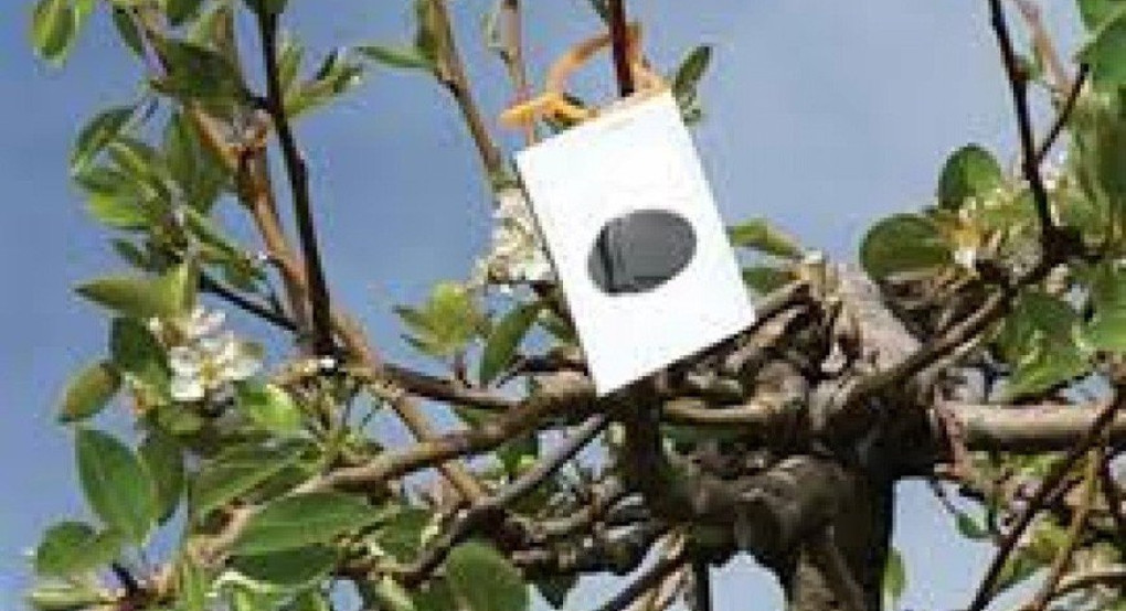 Μετά την ΕΑΕ έρχεται το "Κομφούζιο"