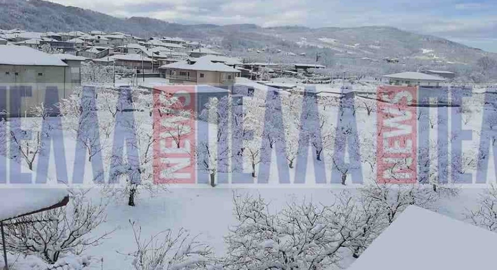 "Μύρισαν Χριστούγεννα" στον Αρχάγγελο Αλμωπίας 