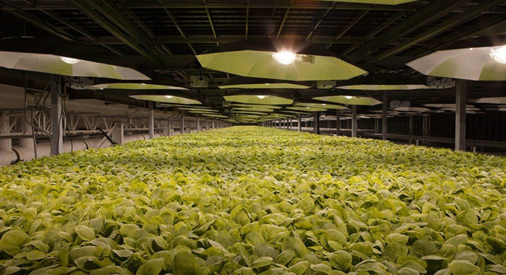 BritishAmericanTobacco: Ανάπτυξη πιθανού εμβολίου για τον κορωνοϊό