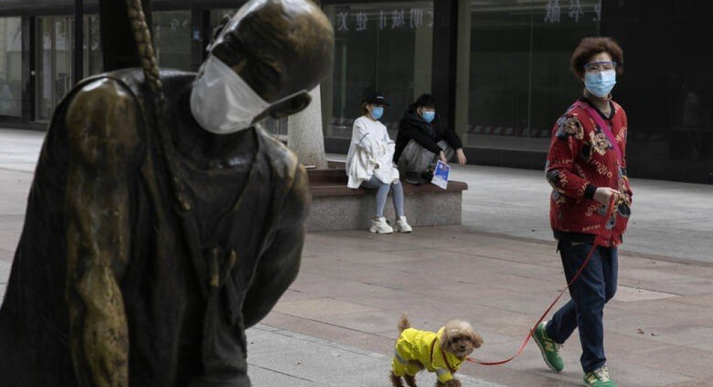 Νέο σενάριο: Σκύλος ο ενδιάμεσος κρίκος του ιού ανάμεσα στις νυχτερίδες και τον άνθρωπο;