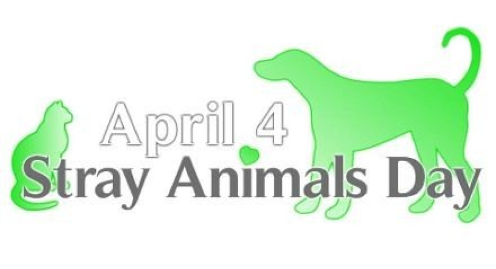 Παγκόσμια Ημέρα Αδεσπότων Ζώων