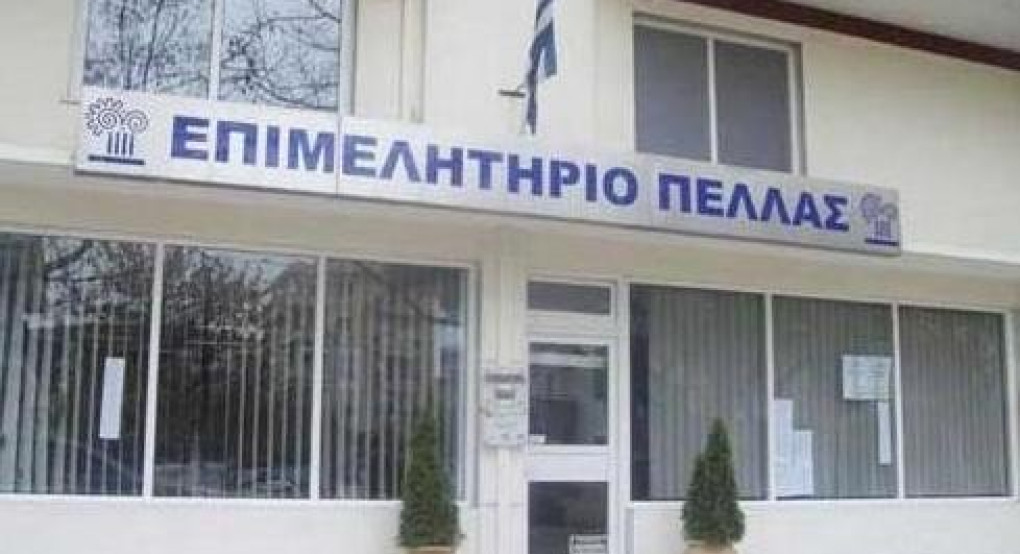 Επιμελητήριο Πέλλας: Ανακοίνωση Παράτασης  για Ασφαλιστικούς Διαμεσολαβητές 