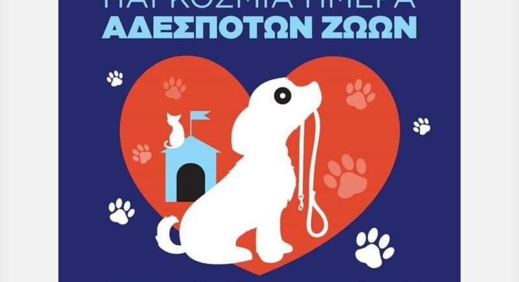 Ο Χρήστος Χατζηγιάννιδης για την παγκόσμια ημέρα αδέσποτων 