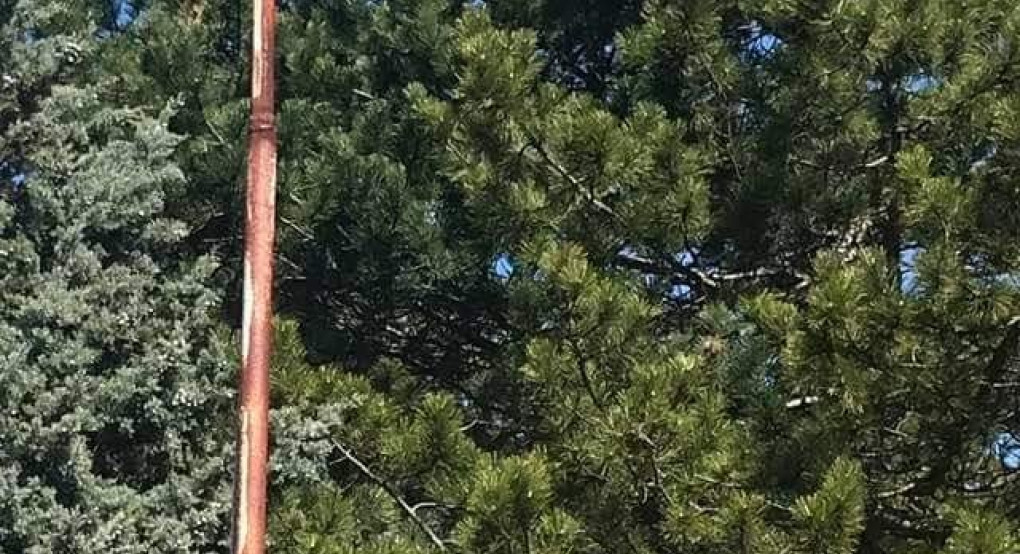 Η Αναστω της Παναγίτσας 